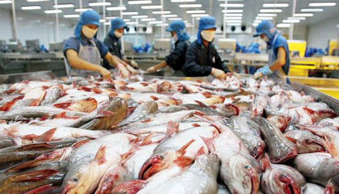 VASEP: Nhiều cơ hội xuất khẩu cho cá tra Việt Nam sang 10 nước CPTPP