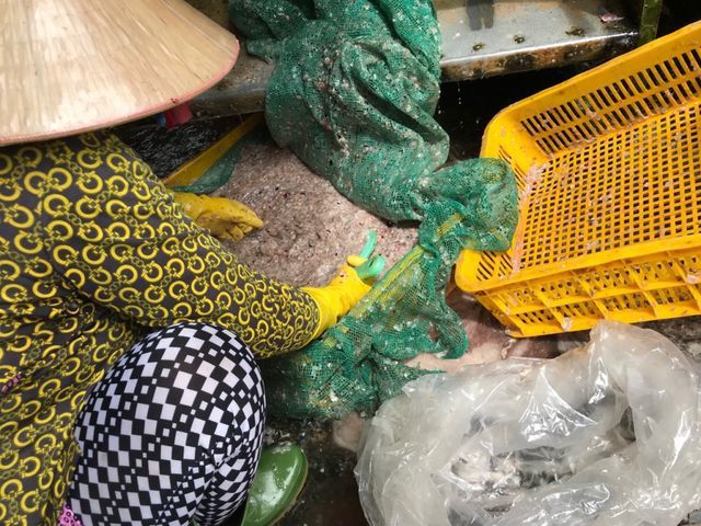 Nhiều người dân ở làng khô Phú Thọ không hiểu các thương lái thu mua vảy cá để làm gì, tuy nhiên với họ, bán được thứ bỏ đi này là có thêm chút thu nhập.