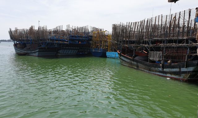 Hàng trăm tấn mực khô tồn kho của ngư dân Quảng Nam