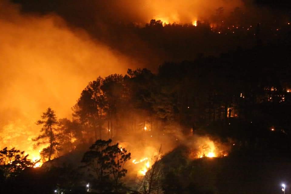 Hà Tĩnh: EVN lo cháy rừng “tái phát” đe doạ đường dây