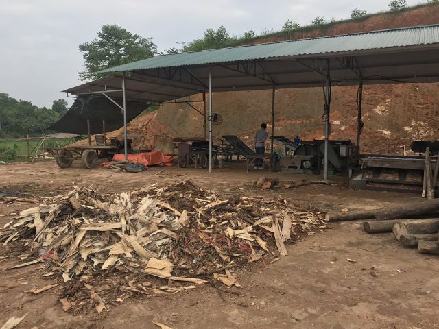 Hệ luỵ xưởng bóc mọc như nấm sau mưa: Chặn cầu tranh nhau từng xe gỗ - 1