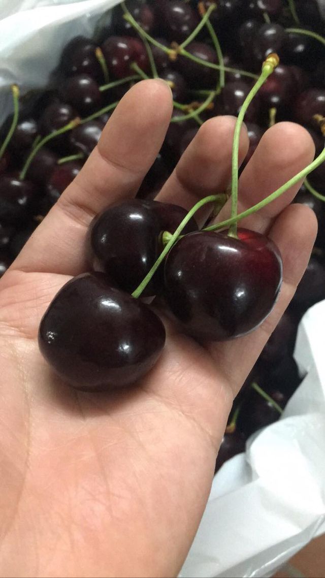 Cherry tại Mỹ có thực sự mất giá, mà ở Việt Nam chỉ hơn 200 nghìn đồng/kg? - 3