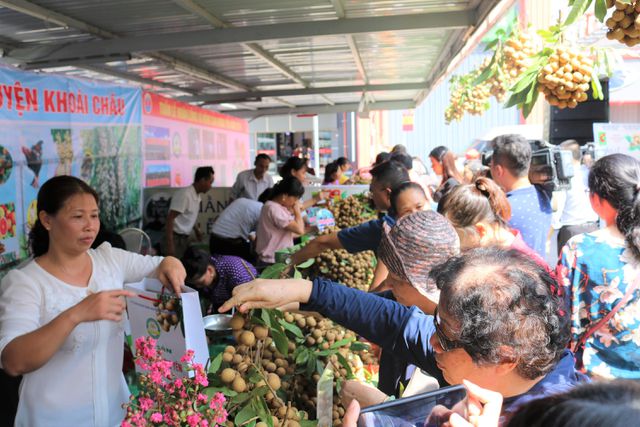 140 nghìn đồng/kg nhãn cổ đường phèn, dân Hà Nội vẫn xếp hàng tranh mua - 1