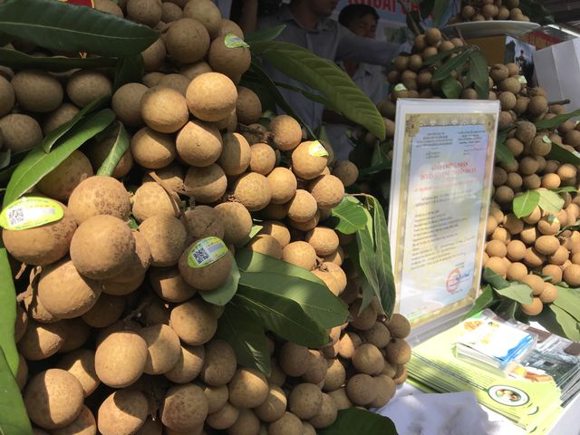 140 nghìn đồng/kg nhãn cổ đường phèn, dân Hà Nội vẫn xếp hàng tranh mua - 3