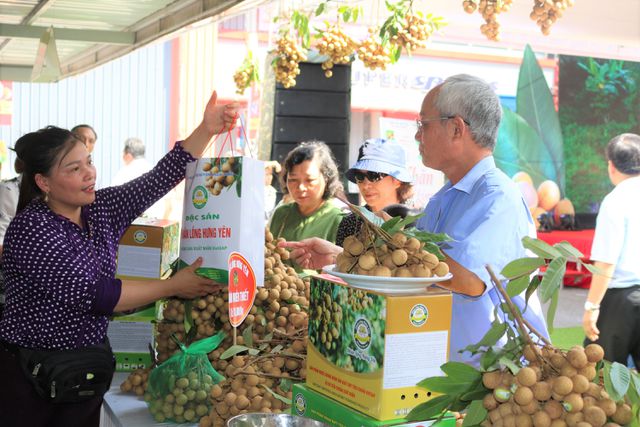 140 nghìn đồng/kg nhãn cổ đường phèn, dân Hà Nội vẫn xếp hàng tranh mua - 4