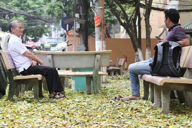 Hàng cây sưa quý ở Hà Nội bất ngờ rụng lá sau khi từ chối bán - 5