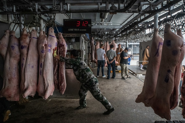 Bí mật bên trong kho dự trữ thịt lợn chiến lược của Trung Quốc - 3