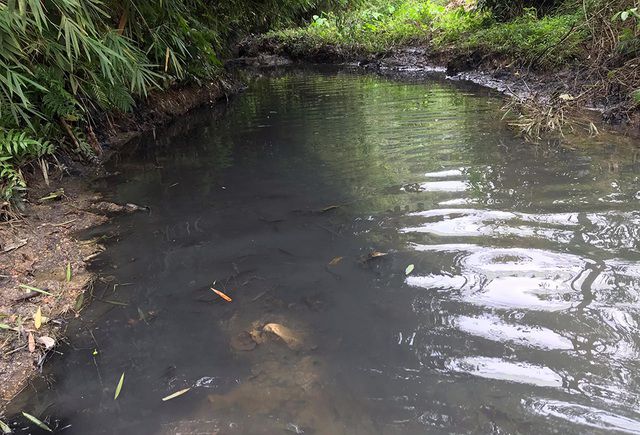 Triệu tập một số người liên quan vụ đổ trộm dầu thải gây ô nhiễm nước sông Đà