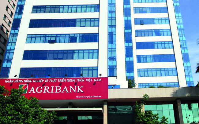 Ngân hàng Nhà nước giao người điều hành hội đồng thành viên Agribank