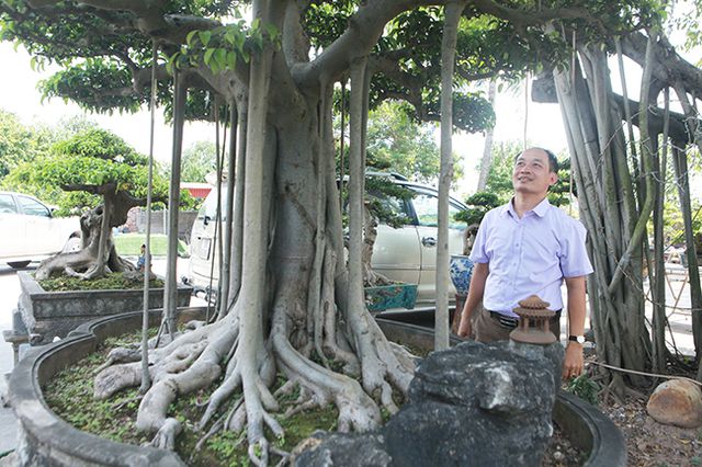 Chiêm ngưỡng “chùa Đồng” dưới bóng cây sanh tiền tỷ - 13