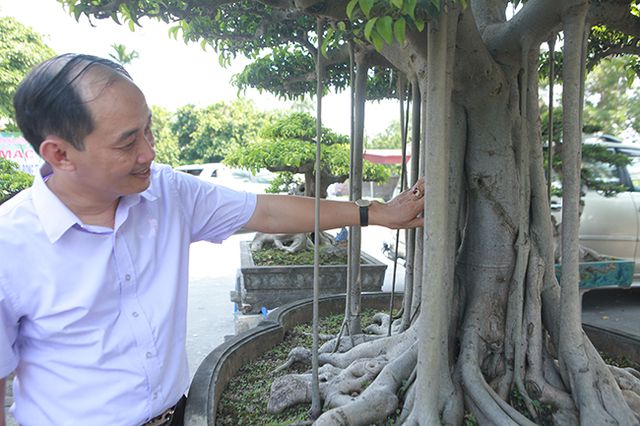 Chiêm ngưỡng “chùa Đồng” dưới bóng cây sanh tiền tỷ - 14
