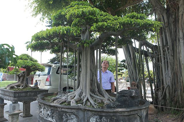 Chiêm ngưỡng “chùa Đồng” dưới bóng cây sanh tiền tỷ - 3
