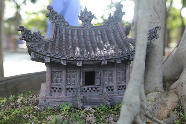 Chiêm ngưỡng “chùa Đồng” dưới bóng cây sanh tiền tỷ - 5