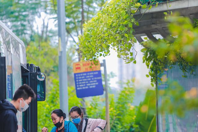Người Hà Nội thích thú với những “khu vườn treo” ấn tượng trên nóc trạm chờ xe buýt - 2