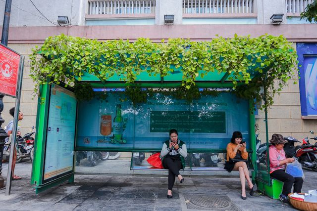 Người Hà Nội thích thú với những “khu vườn treo” ấn tượng trên nóc trạm chờ xe buýt - 6