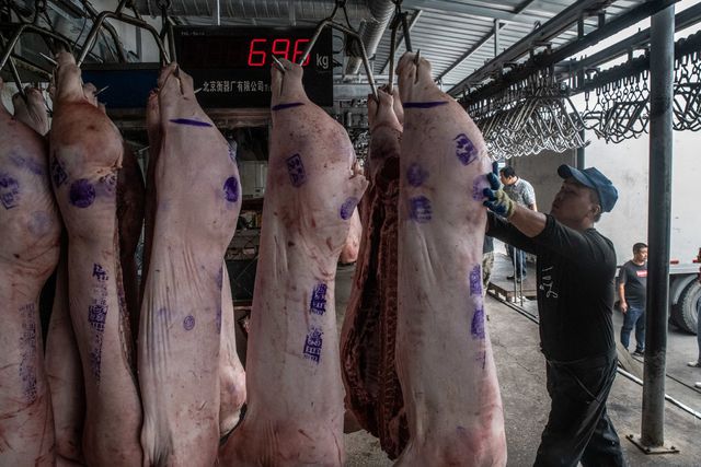 Trung Quốc lao đao vì “cơn bão” dịch tả lợn - 2