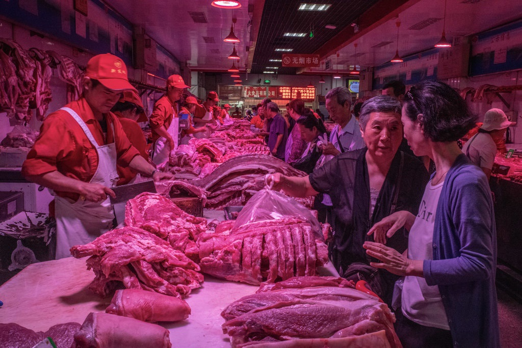 Trung Quốc lao đao vì “cơn bão” dịch tả lợn