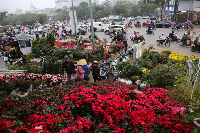 Sôi động chợ hoa Tết lớn nhất Hà Nội - 1