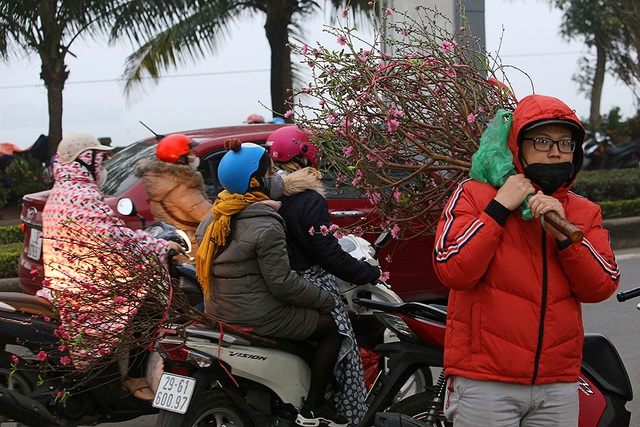 Sôi động chợ hoa Tết lớn nhất Hà Nội - 11