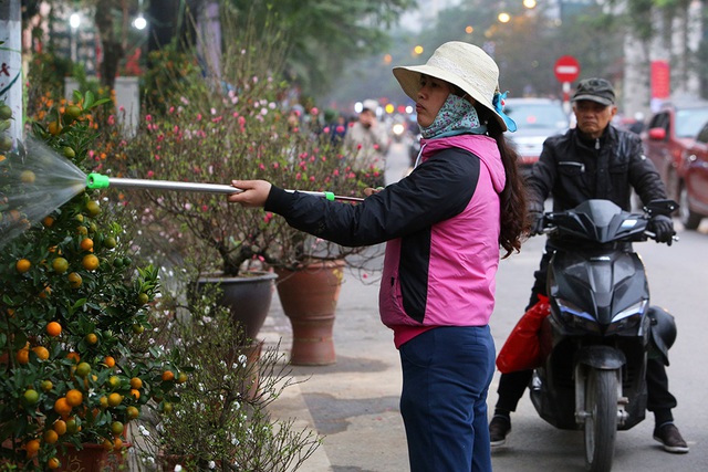 Sôi động chợ hoa Tết lớn nhất Hà Nội - 12
