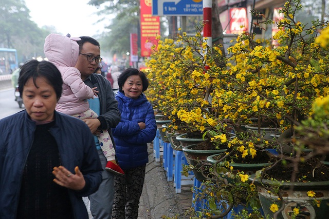 Sôi động chợ hoa Tết lớn nhất Hà Nội - 3