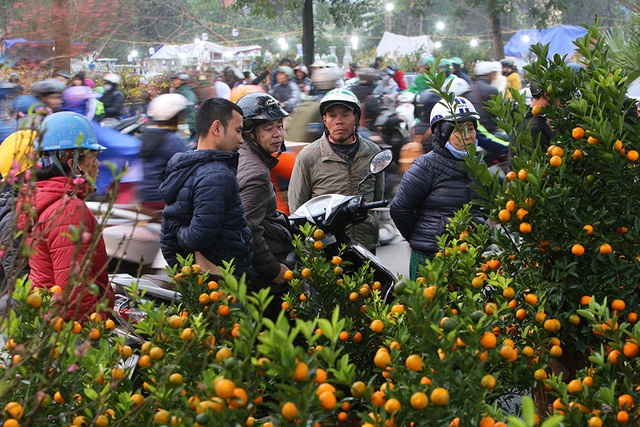 Sôi động chợ hoa Tết lớn nhất Hà Nội - 7