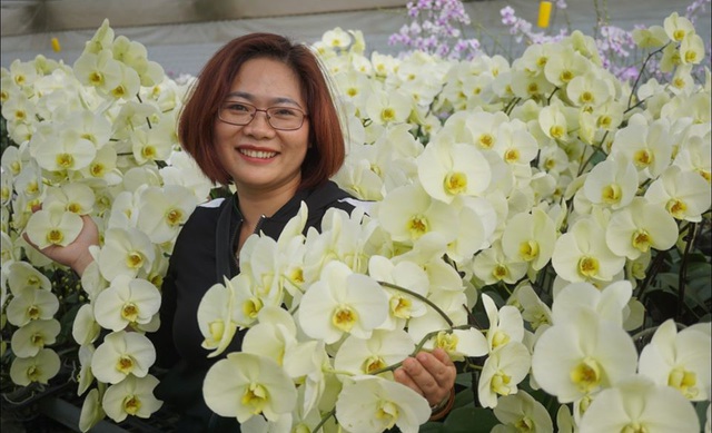 Người Việt ứng dụng 4.0 trồng lan: Hết thời hoa ngoại độc chiếm thị phần hồ điệp Tết - 12