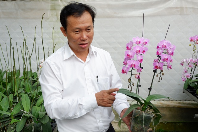 Người Việt ứng dụng 4.0 trồng lan: Hết thời hoa ngoại độc chiếm thị phần hồ điệp Tết - 3