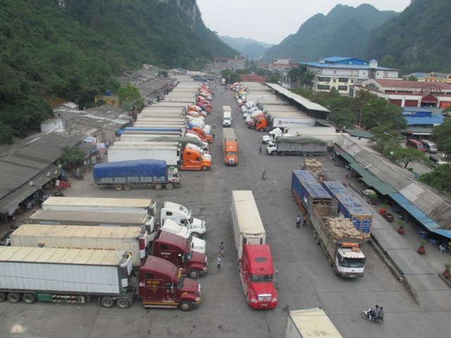 Hàng trăm xe thanh long tắc đường sang Trung Quốc vì virus corona - 1