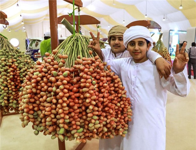 Loại quả giới nhà giàu Dubai ăn mỗi ngày từng được trồng ở Việt Nam? - 7