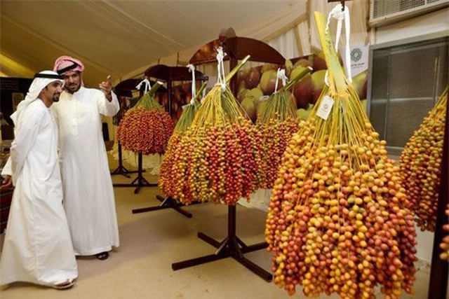 Loại quả giới nhà giàu Dubai ăn mỗi ngày từng được trồng ở Việt Nam? - 8
