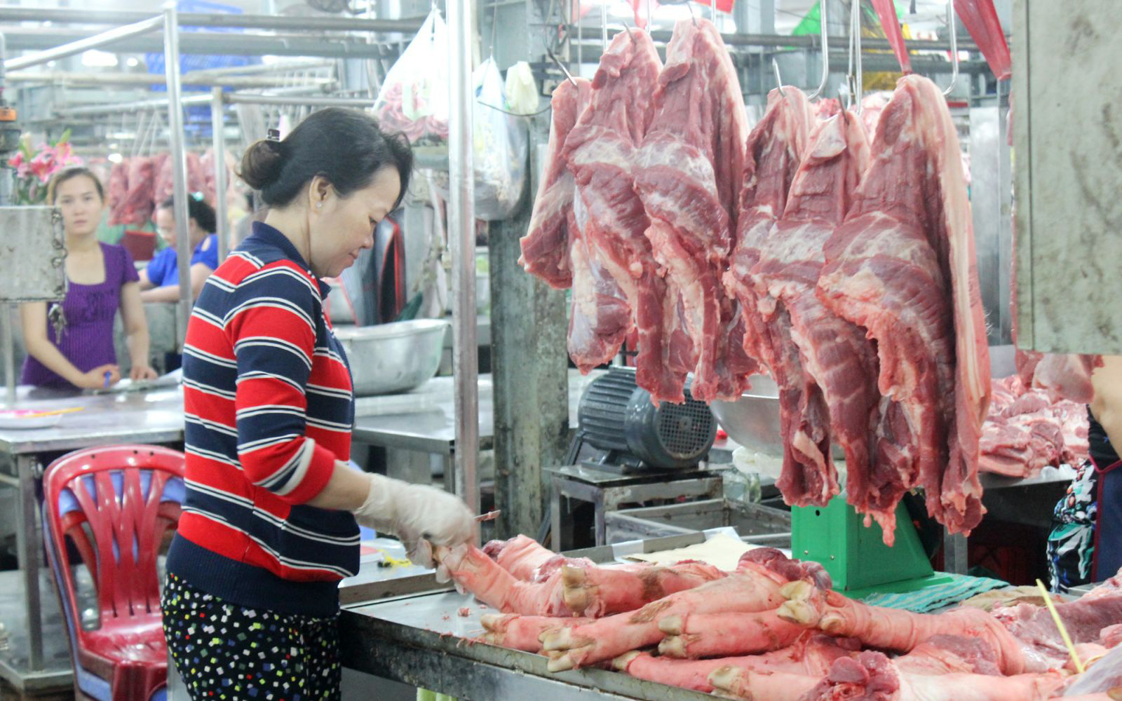 Thủ tướng: Làm rõ tác động của việc tăng giá thịt lợn đến CPI