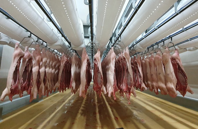 Tuần sau thịt lợn nhập khẩu từ Nga ồ ạt nhập về Việt Nam - 2