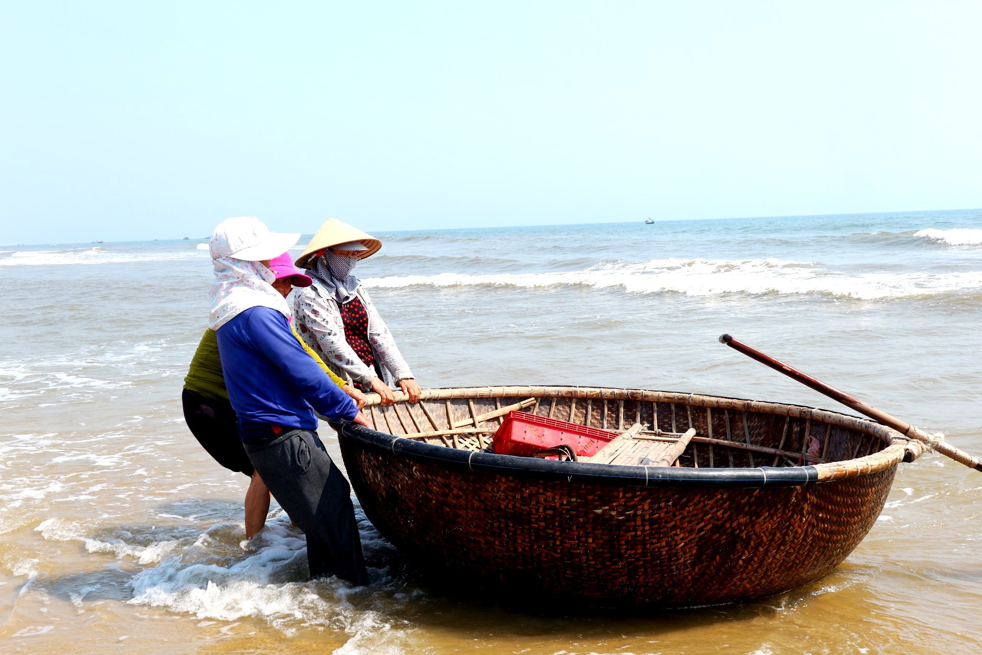 Ngư dân Quảng Nam trúng mùa ruốc biển