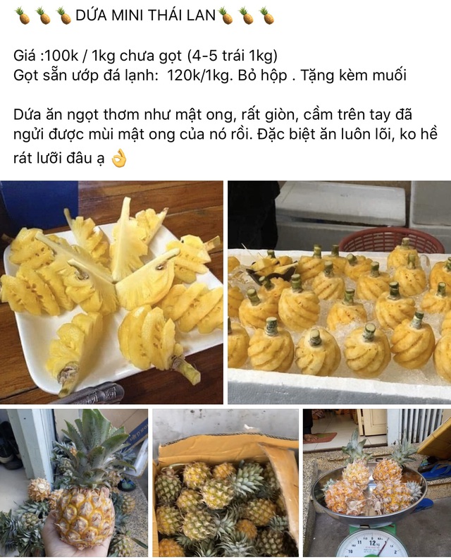 TPHCM: Dân sành ăn đổ xô mua dứa mini Thái giá cao - 2