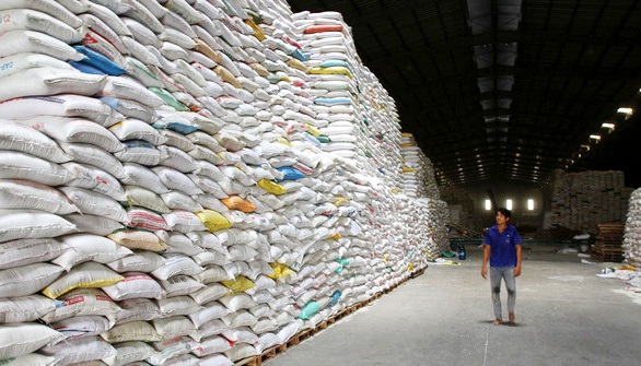 Doanh nghiệp: Chúng tôi sẽ “chết” nếu ngừng xuất khẩu gạo quá lâu
