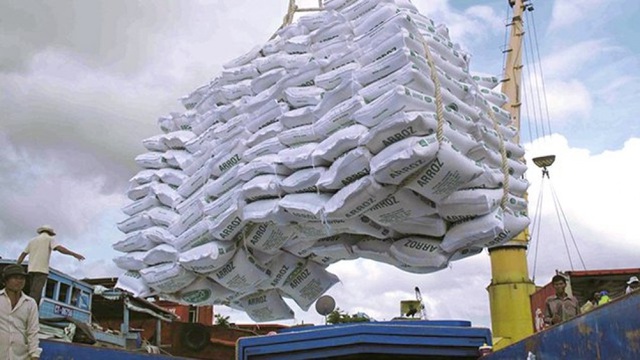 Do nhầm hàng, doanh nghiệp được xuất thêm 38.000 tấn gạo tẻ trong tháng 4 - 1