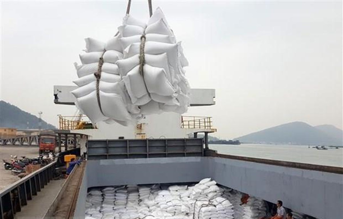 Hải quan hủy 53.300 tấn gạo xuất khẩu do doanh nghiệp khai khống