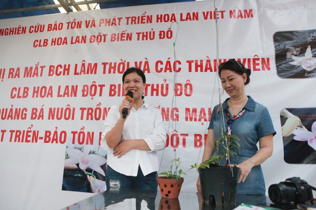Choáng những giỏ hoa lan đột biến hiếm thấy ở Hà Nội, giá hàng trăm triệu - 12