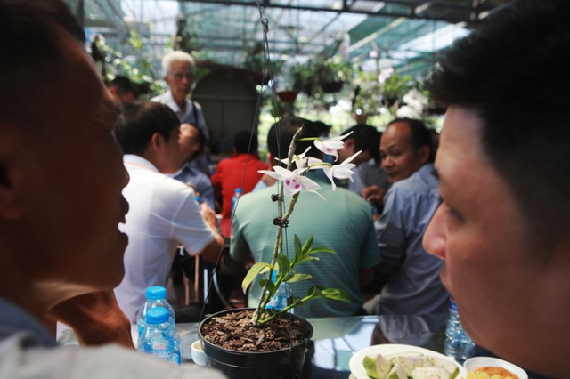 Choáng những giỏ hoa lan đột biến hiếm thấy ở Hà Nội, giá hàng trăm triệu - 3