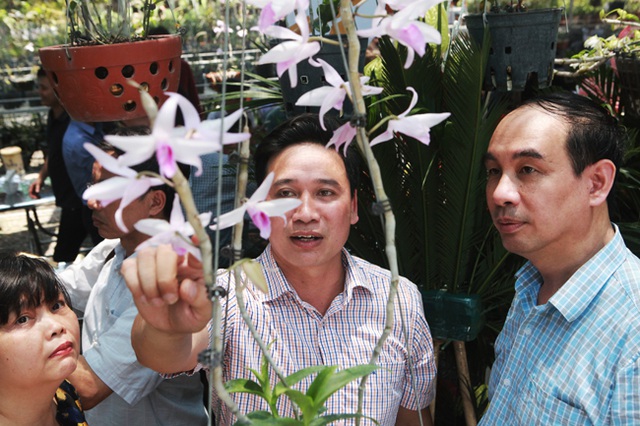 Choáng những giỏ hoa lan đột biến hiếm thấy ở Hà Nội, giá hàng trăm triệu - 4