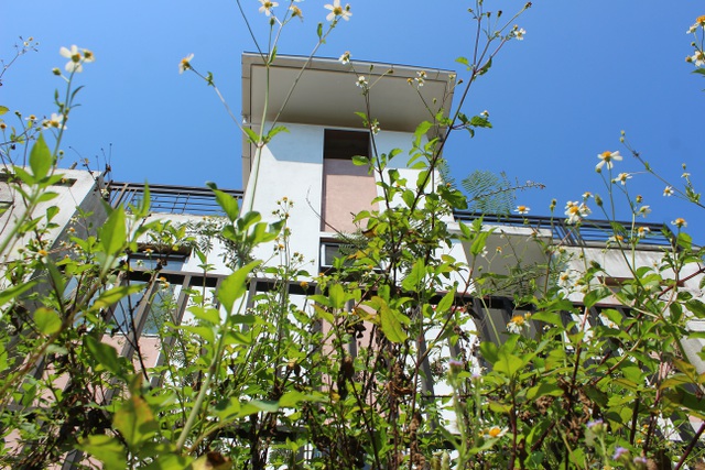 Hà Tĩnh: Hàng chục căn biệt thự hạng sang bỏ hoang giữa lòng thành phố - 6