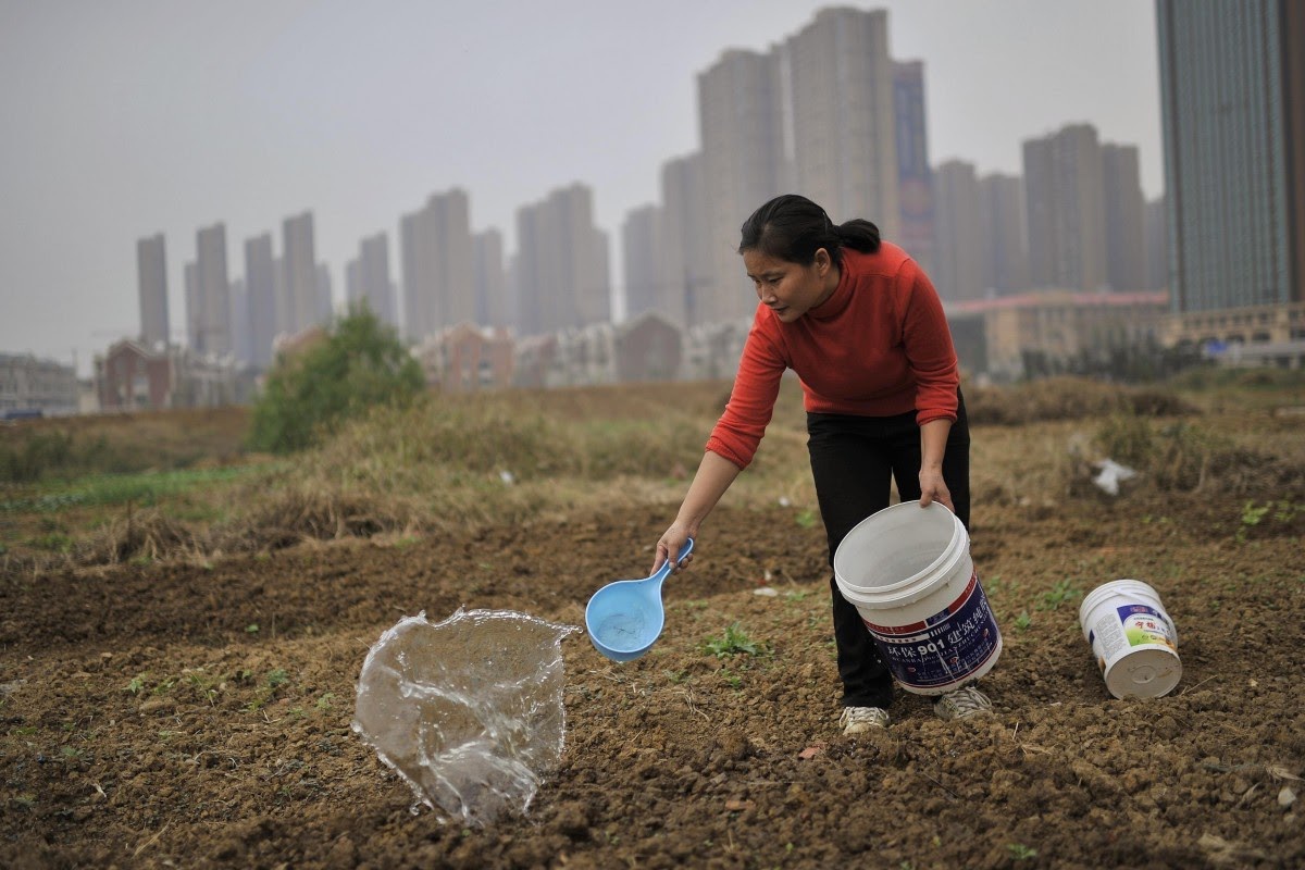 Cải cách ruộng đất ở Trung Quốc sẽ mở ra chu kỳ tăng trưởng kinh tế mới?