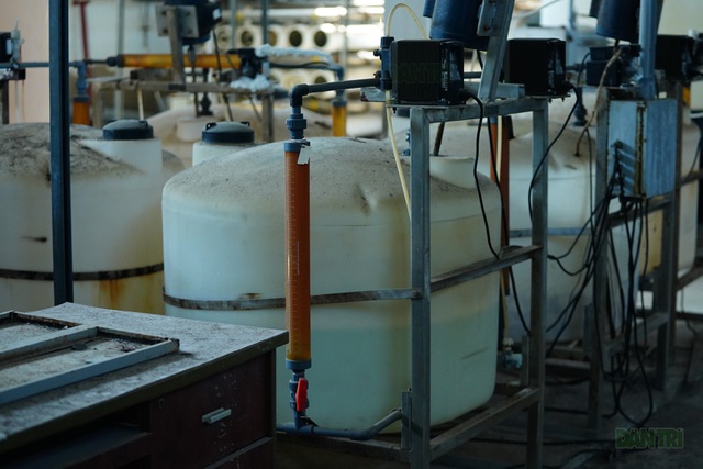 Nhà máy lọc nước “triệu đô” bỏ hoang ở Cần Giờ - 11