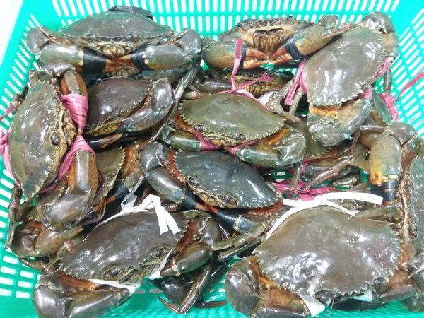 Bất chấp Covid-19, Trung Quốc vẫn tiêu thụ hơn 880 tỷ đồng hải sản Việt Nam