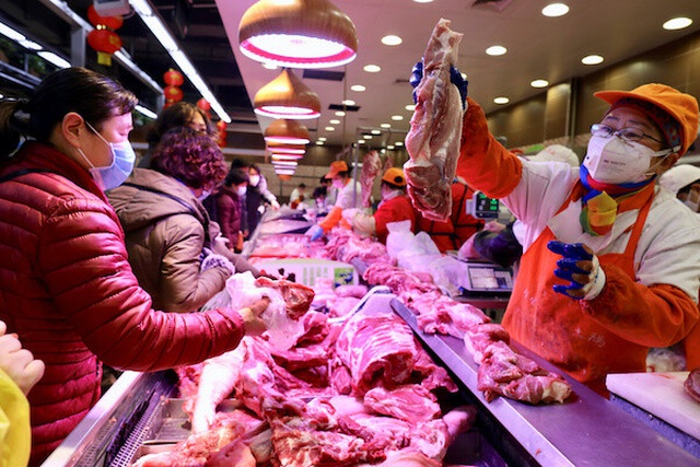 Chuyên gia: Giàu to nhờ xuất khẩu thịt lợn sang Trung Quốc - 1