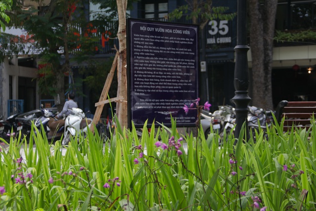 Cận cảnh vườn hoa kiểu mẫu hơn 5 tỷ đồng ở trung tâm Hà Nội - 11