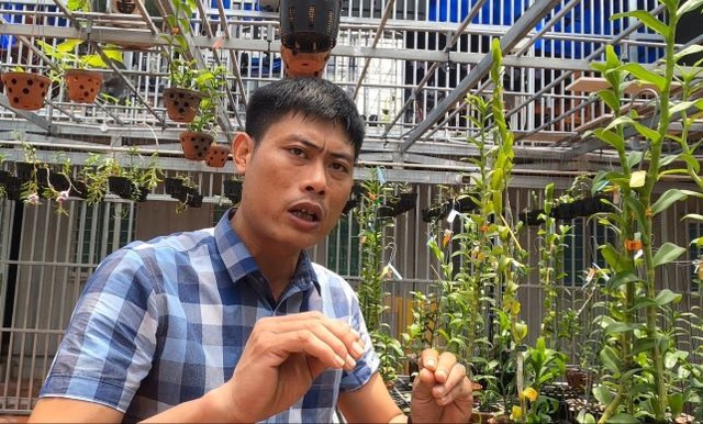 Gặp người  mua 3 cây lan đột biến gene giá 32 tỷ đồng ở Bình Phước - 2