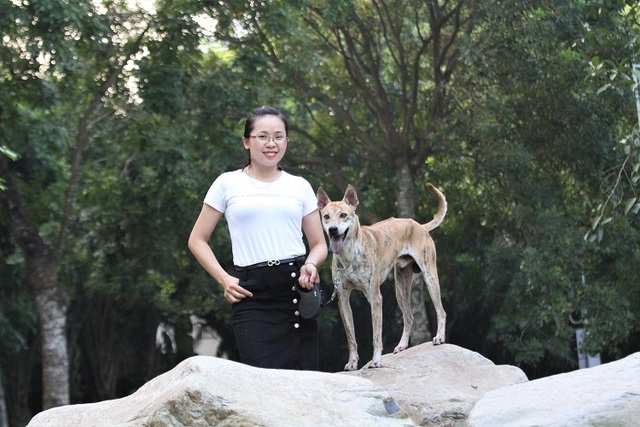 Khuyển vương 300 triệu đồng, thương vụ chó Phú Quốc đắt nhất Việt Nam - 1