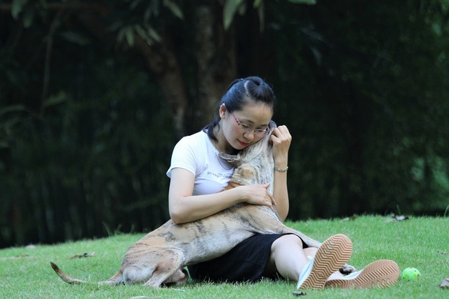 Khuyển vương 300 triệu đồng, thương vụ chó Phú Quốc đắt nhất Việt Nam - 5